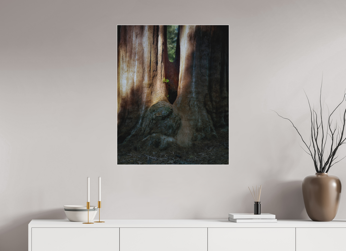 28 x 35″, Bonded Acrylic White Frame Semper iuvenis