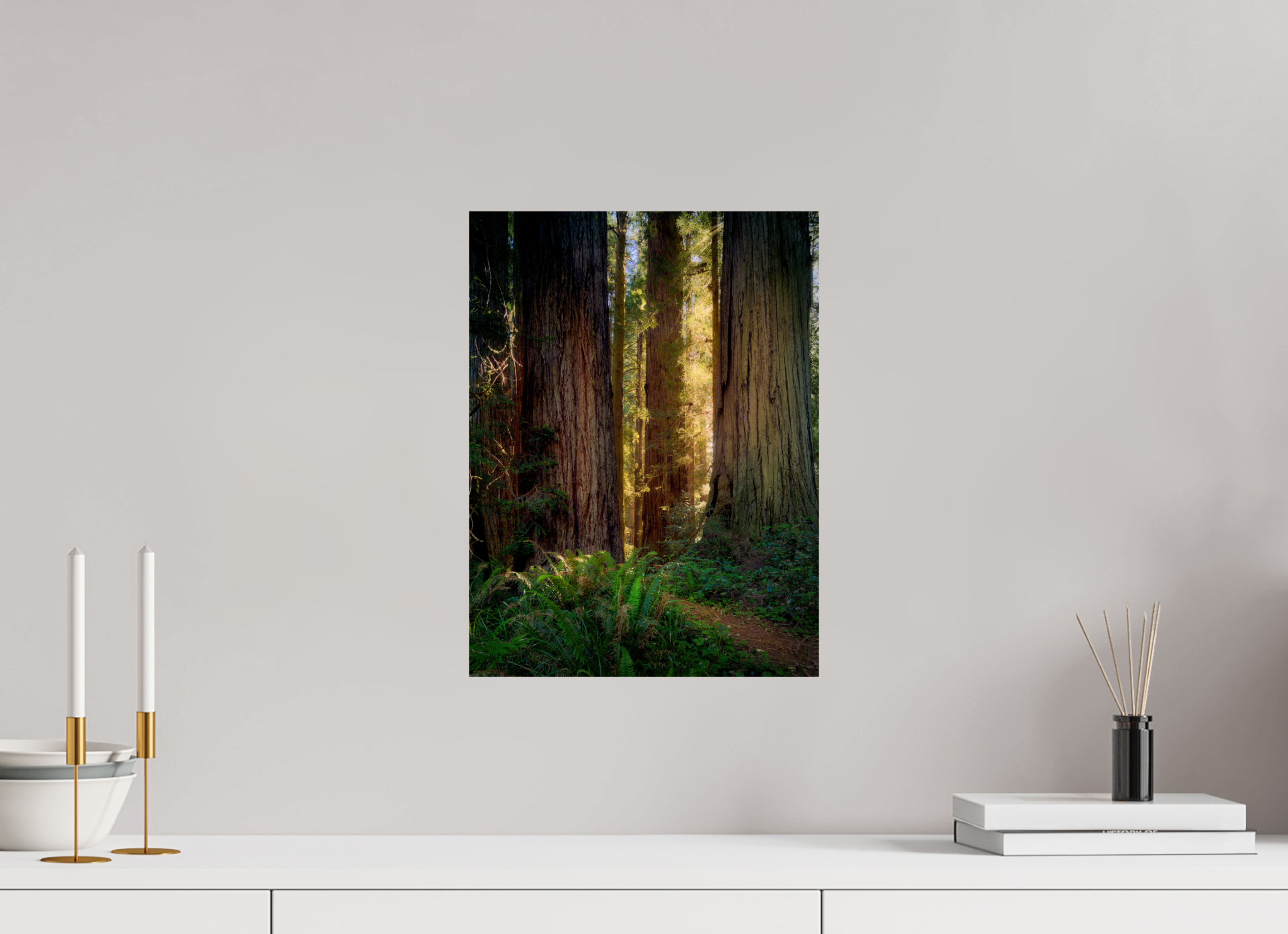 12 x 16″, Giclée Alu-Dibond Novaculata: Back to the Redwoods