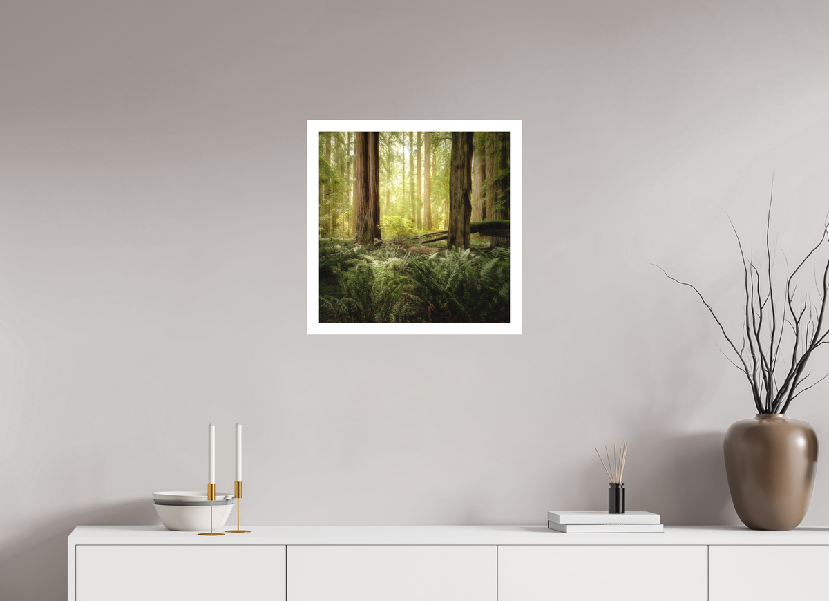 20 x 20″, Bonded Acrylic Mat + White Frame Lux Armarium: Stout Grove