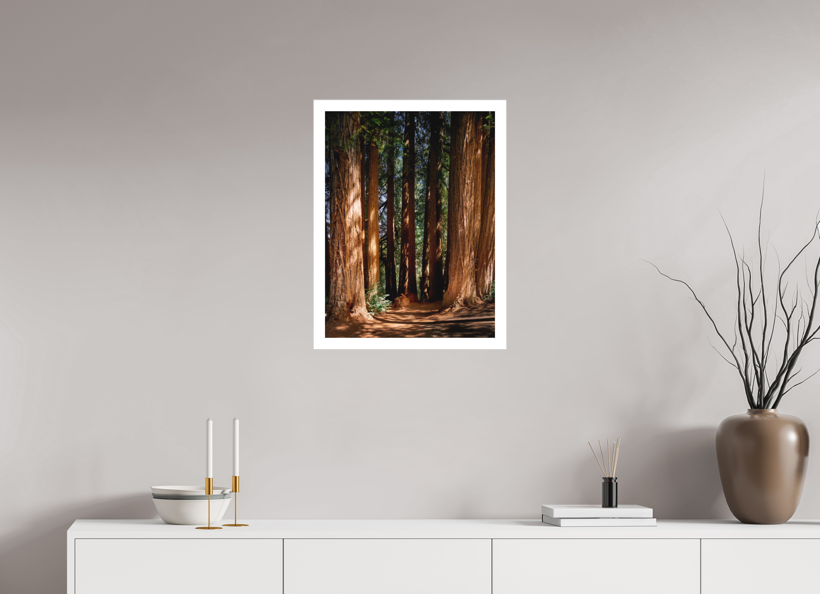 18 x 24″, Fine Art Bonded Acrylic Felton Redwoods Cathedral Grove