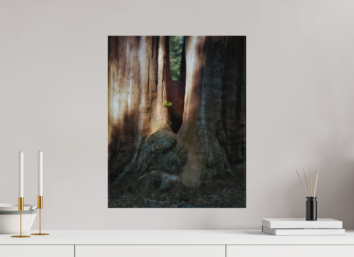 16 x 20″, Fine Art Textile Semper iuvenis