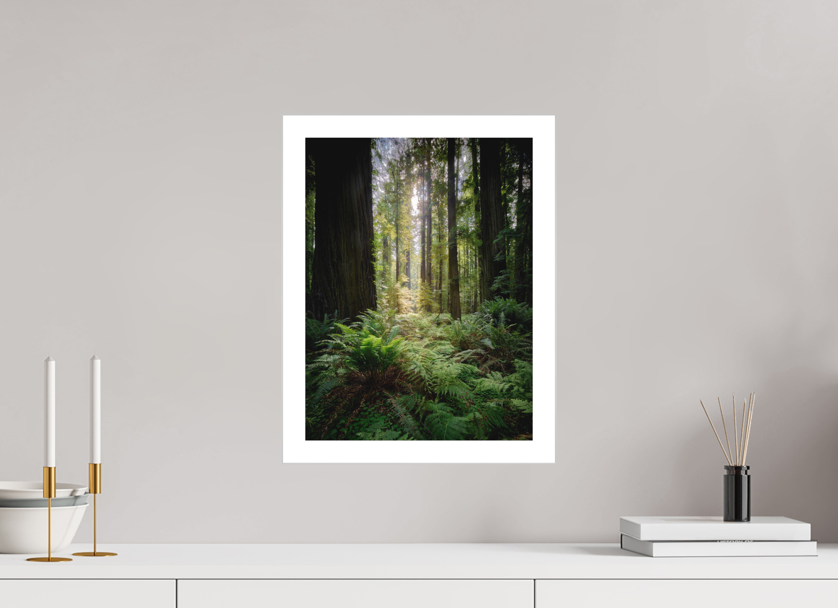 12 x 16″, Fine Art Bonded Acrylic Forest Light on Redwoods & Sword Ferns