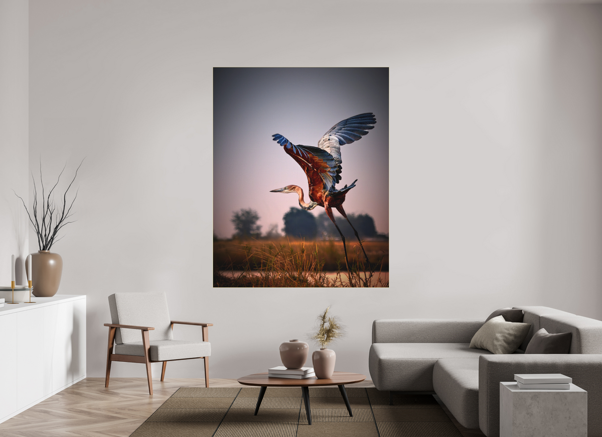 59 x 73.7″, Bonded Acrylic Gold Frame Goliath Heron Takes Flight on the Chobe River
