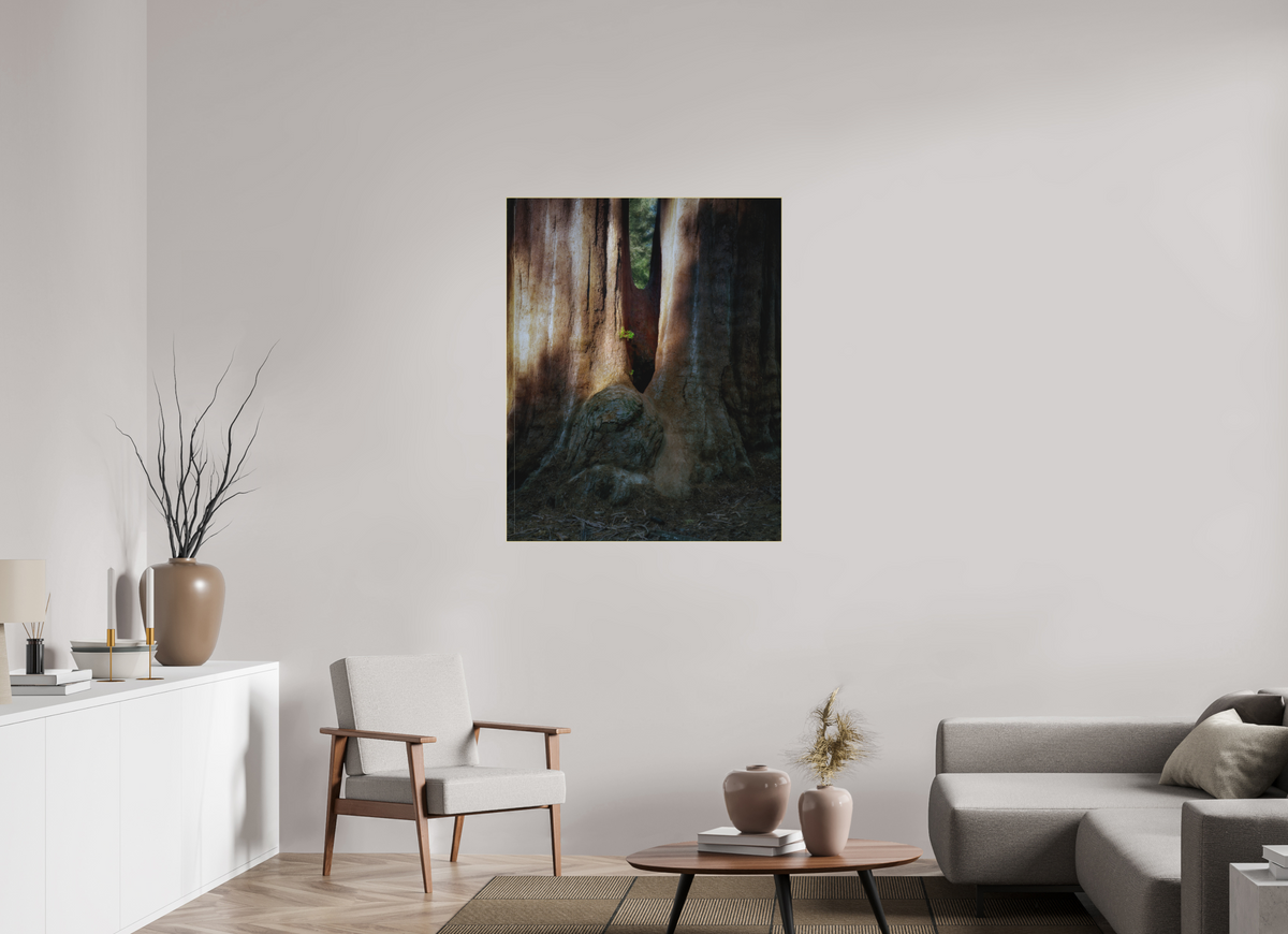 35 x 43.7″, Bonded Acrylic Gold Frame Semper iuvenis