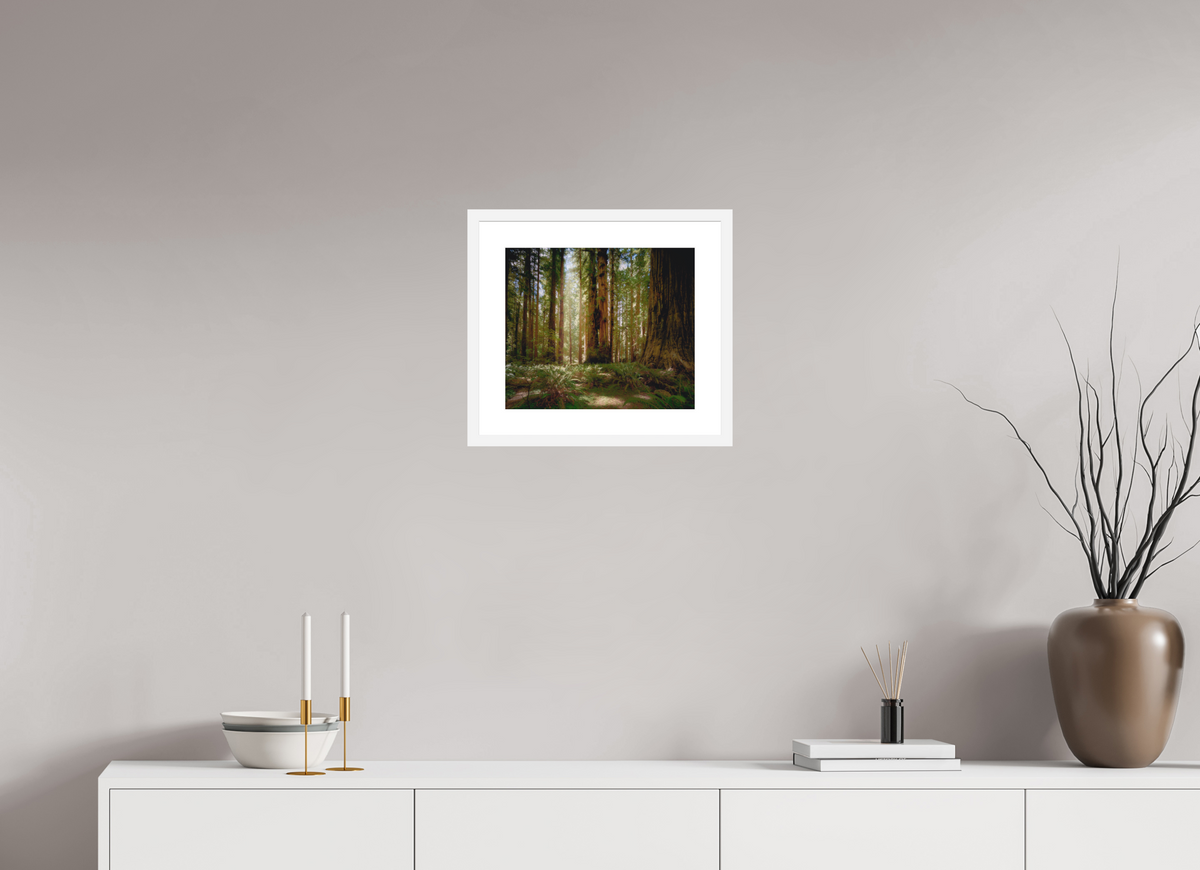 14 x 12″, Passe-Partout White Frame Life & Light Beneath the Giants