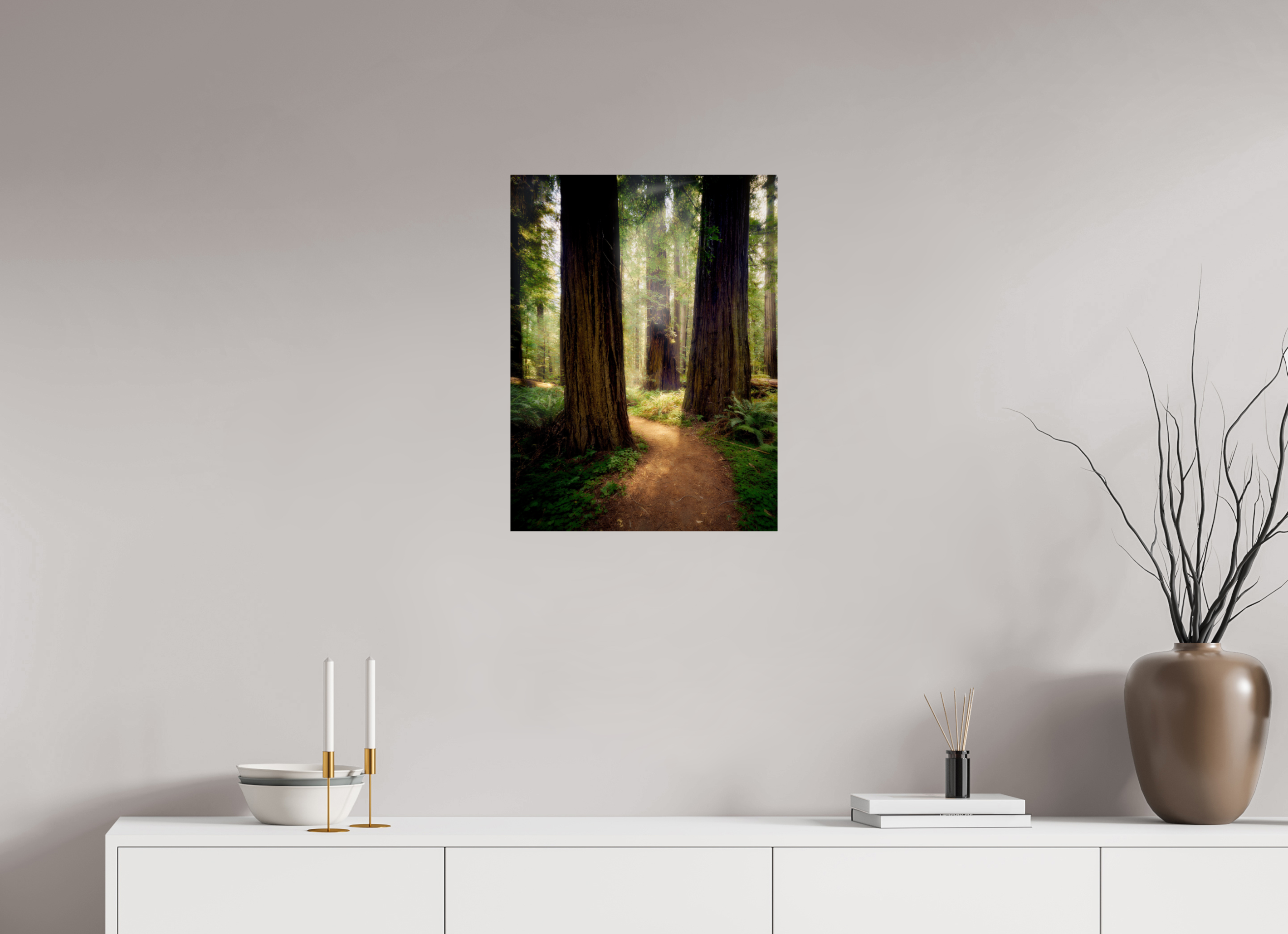 18 x 24″, Giclée Alu-Dibond A Path Through The Redwoods