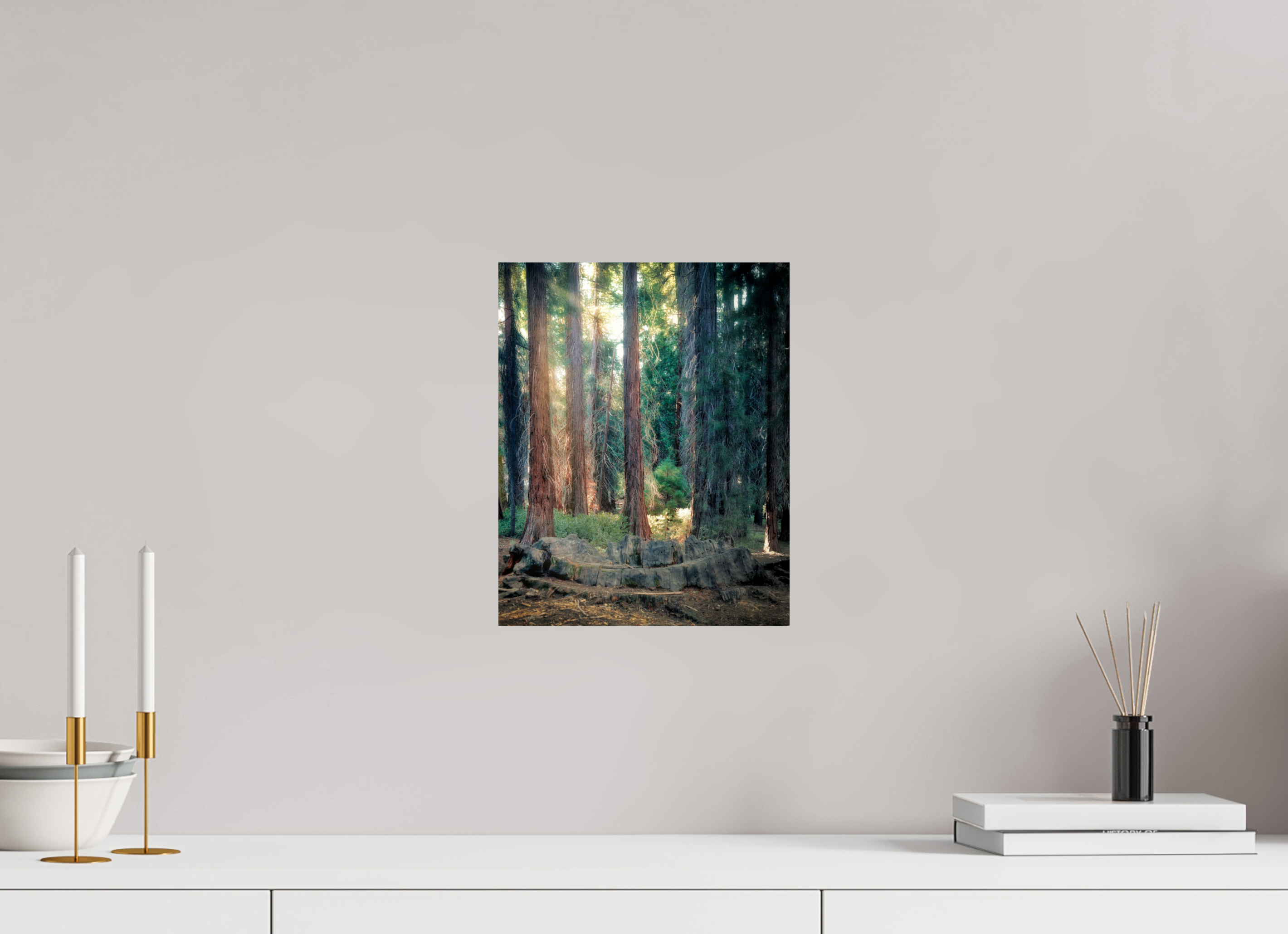 10 x 12.5″, Giclée Alu-Dibond Never Again: The Centennial Stump