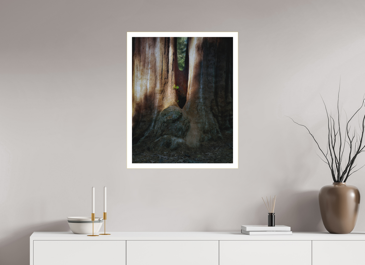 24 x 30″, Bonded Acrylic Mat + Gold Frame Semper iuvenis