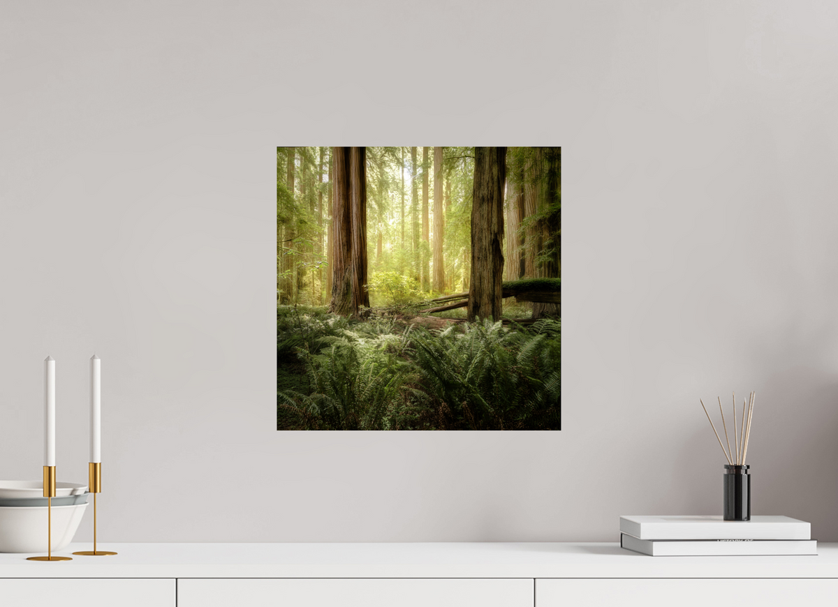 15 x 15″, Giclée Alu-Dibond Lux Armarium: Stout Grove