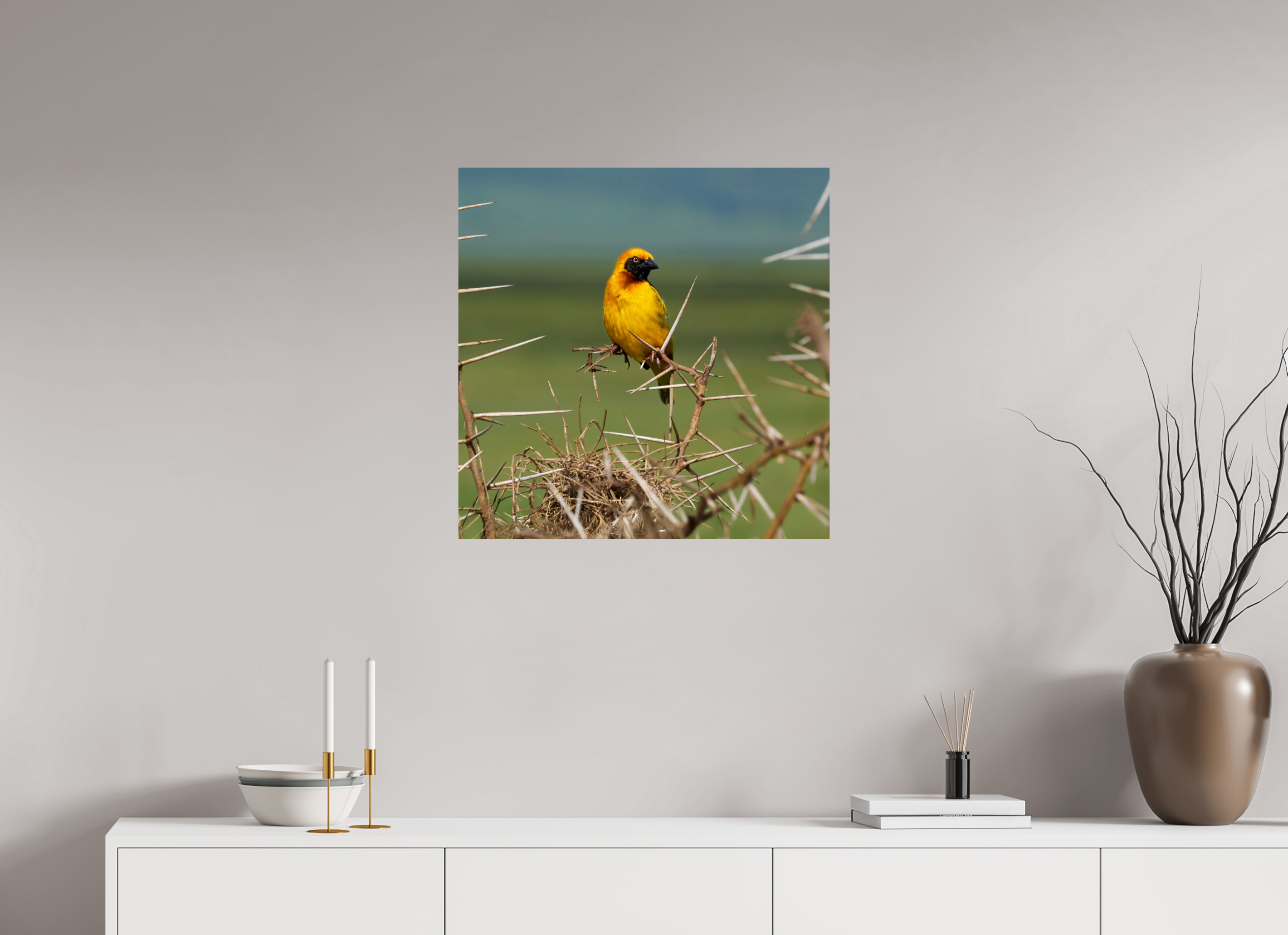 25 x 25″, Giclée Alu-Dibond Afrcan Golden Weaver