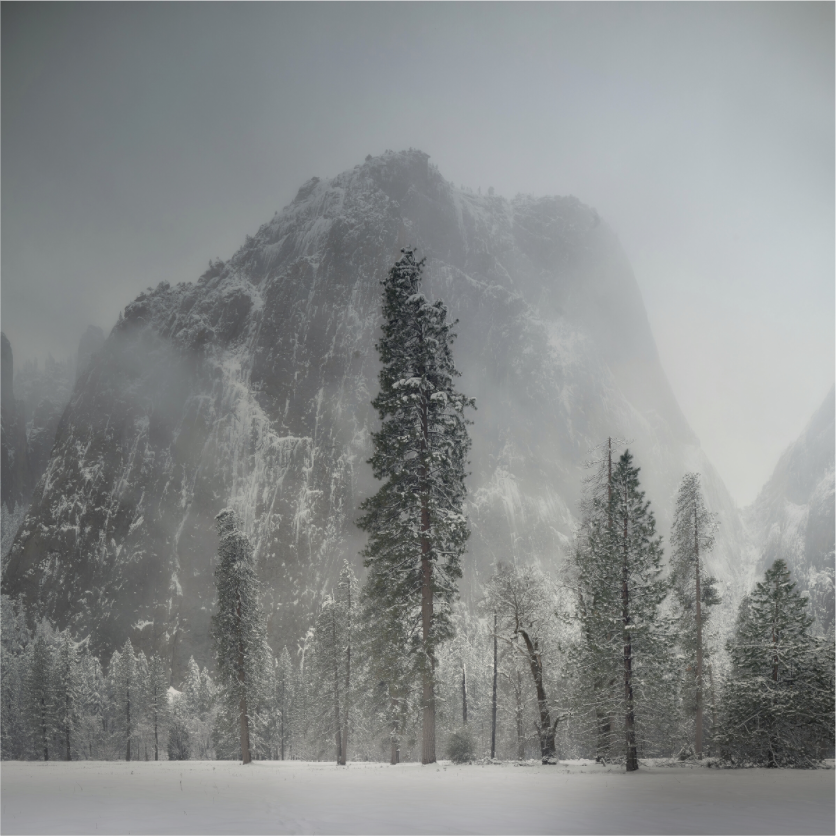 Main image Winter Is Here
