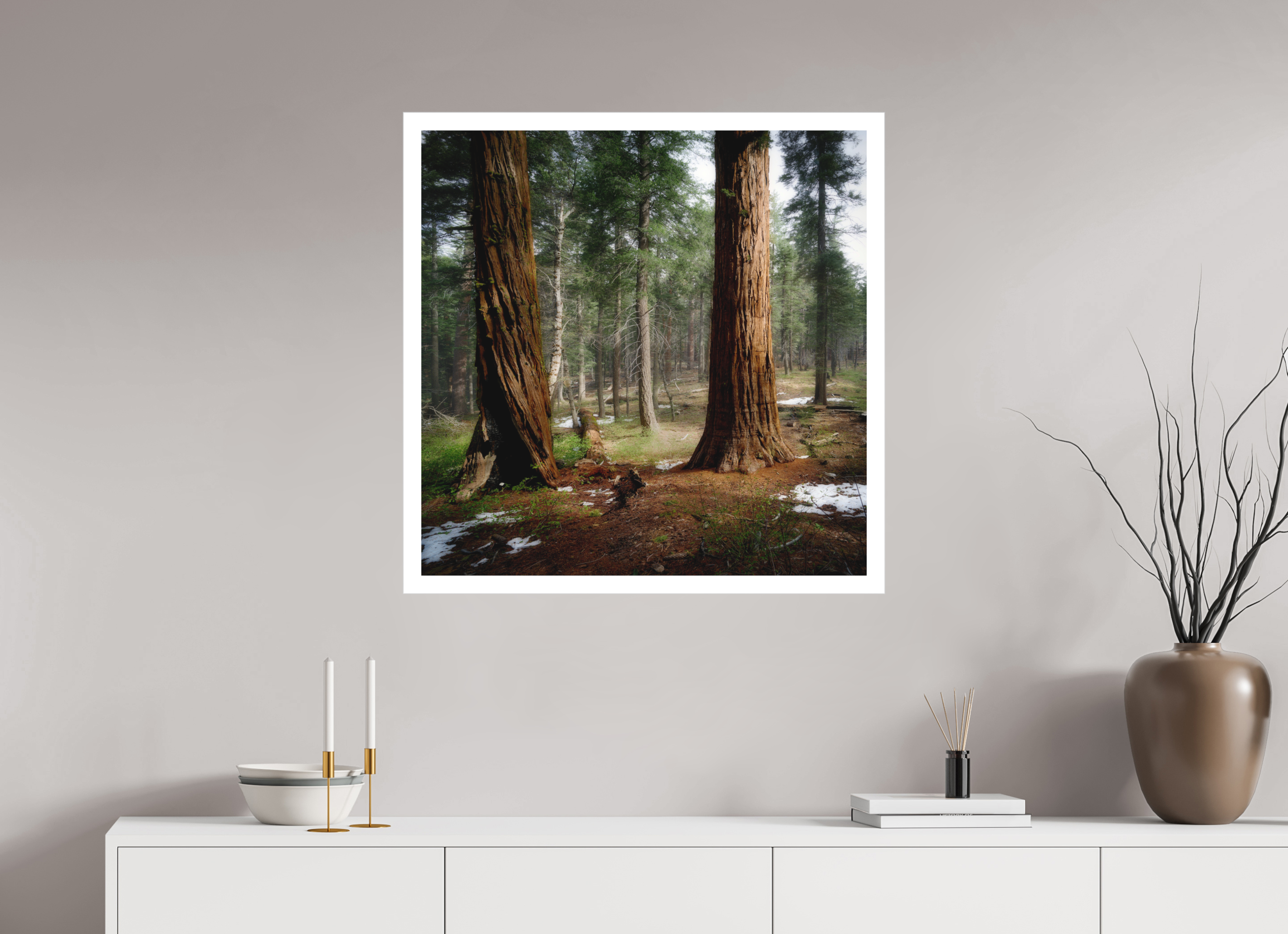 30 x 30″, Bonded Acrylic Mat + Silver Frame Northern Sentinels II: The Placer County Sequoias