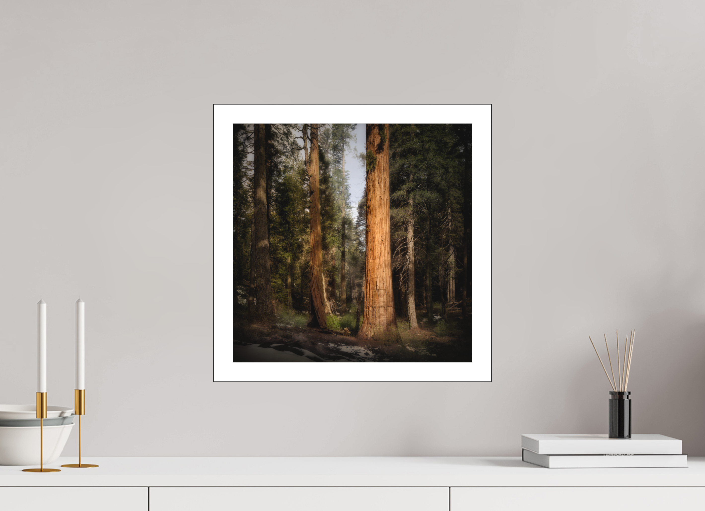 15 x 15″, Bonded Acrylic Mat + Black Frame Northern Sentinels I: The Placer County Sequoias