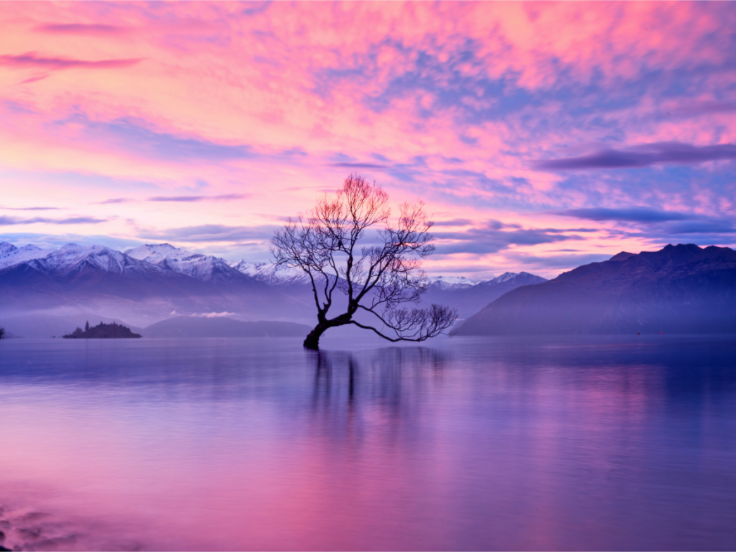 Main image Wanaka II: The Wanaka Tree Beneath a Brilliant Sunset