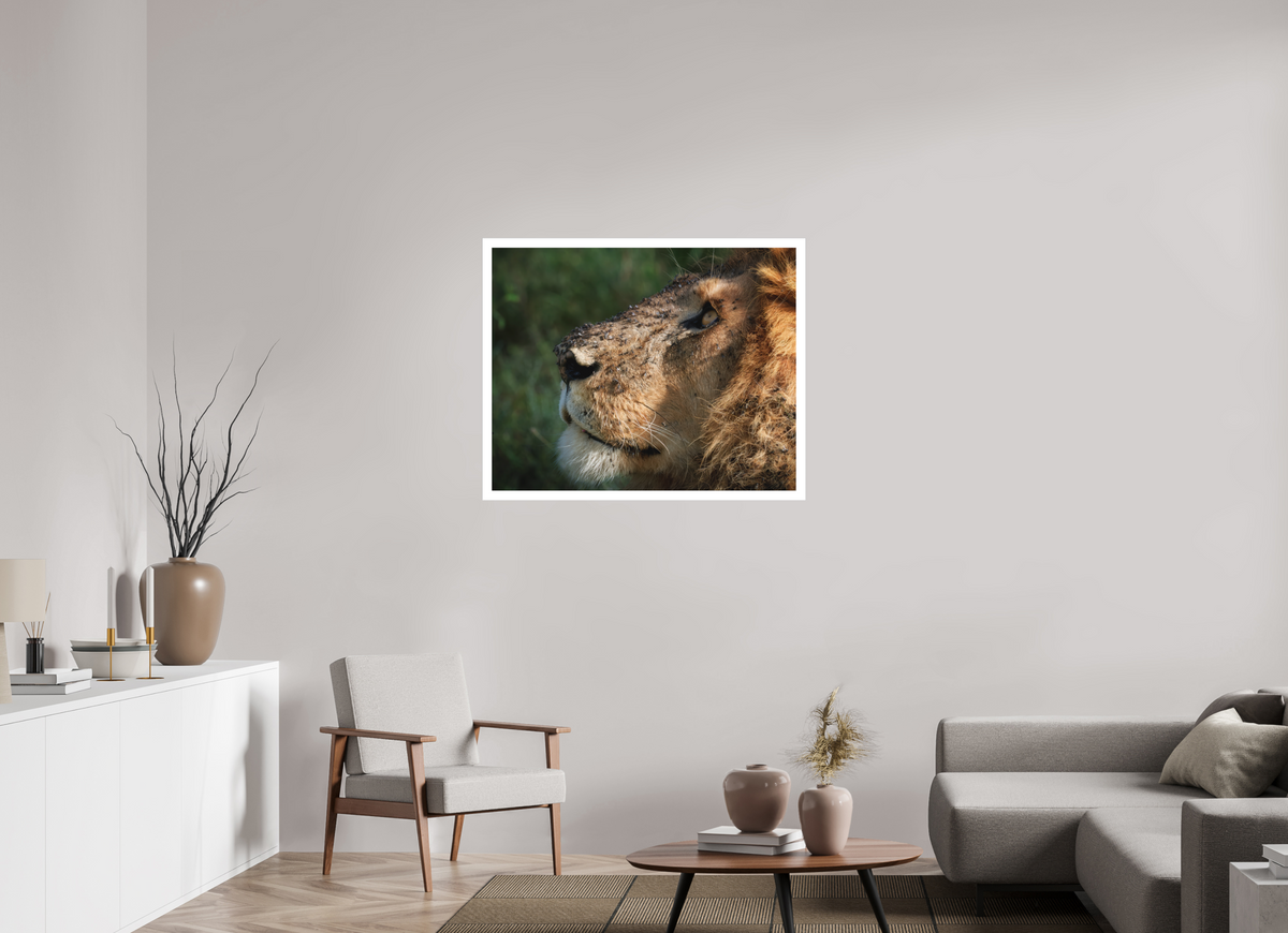 38.7 x 31″, Fine Art Bonded Acrylic The King of Most Beasts