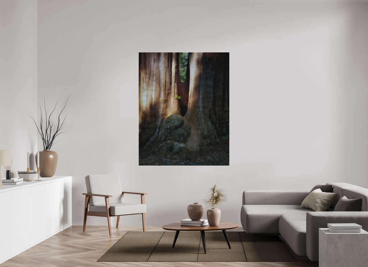 51 x 63.7″, Bonded Acrylic White Frame Semper iuvenis