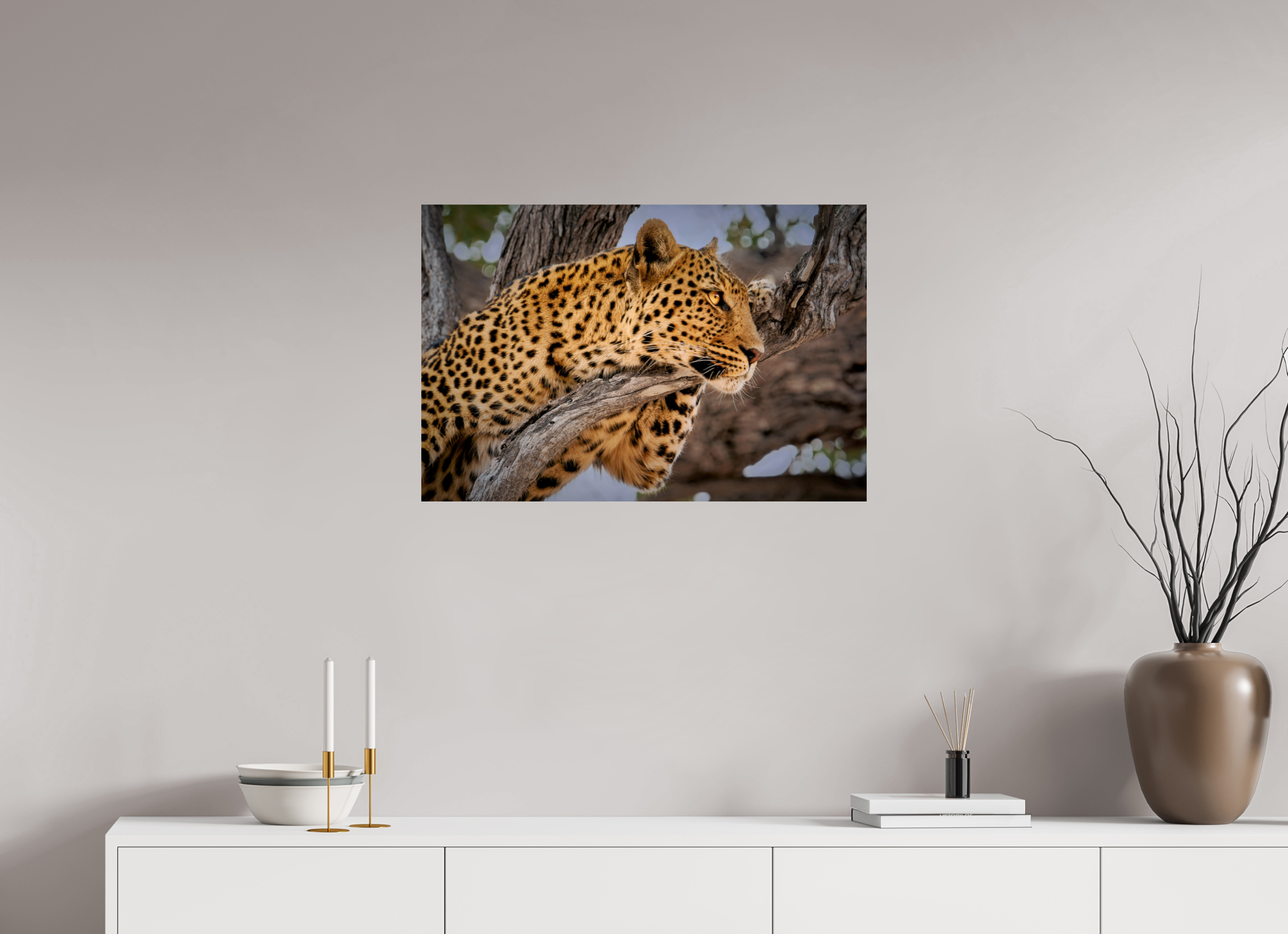30 x 20″, Giclée Alu-Dibond Leopard Princess of Savute