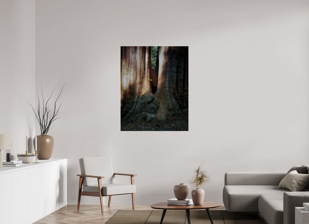 36 x 45″, Giclée Alu-Dibond Semper iuvenis