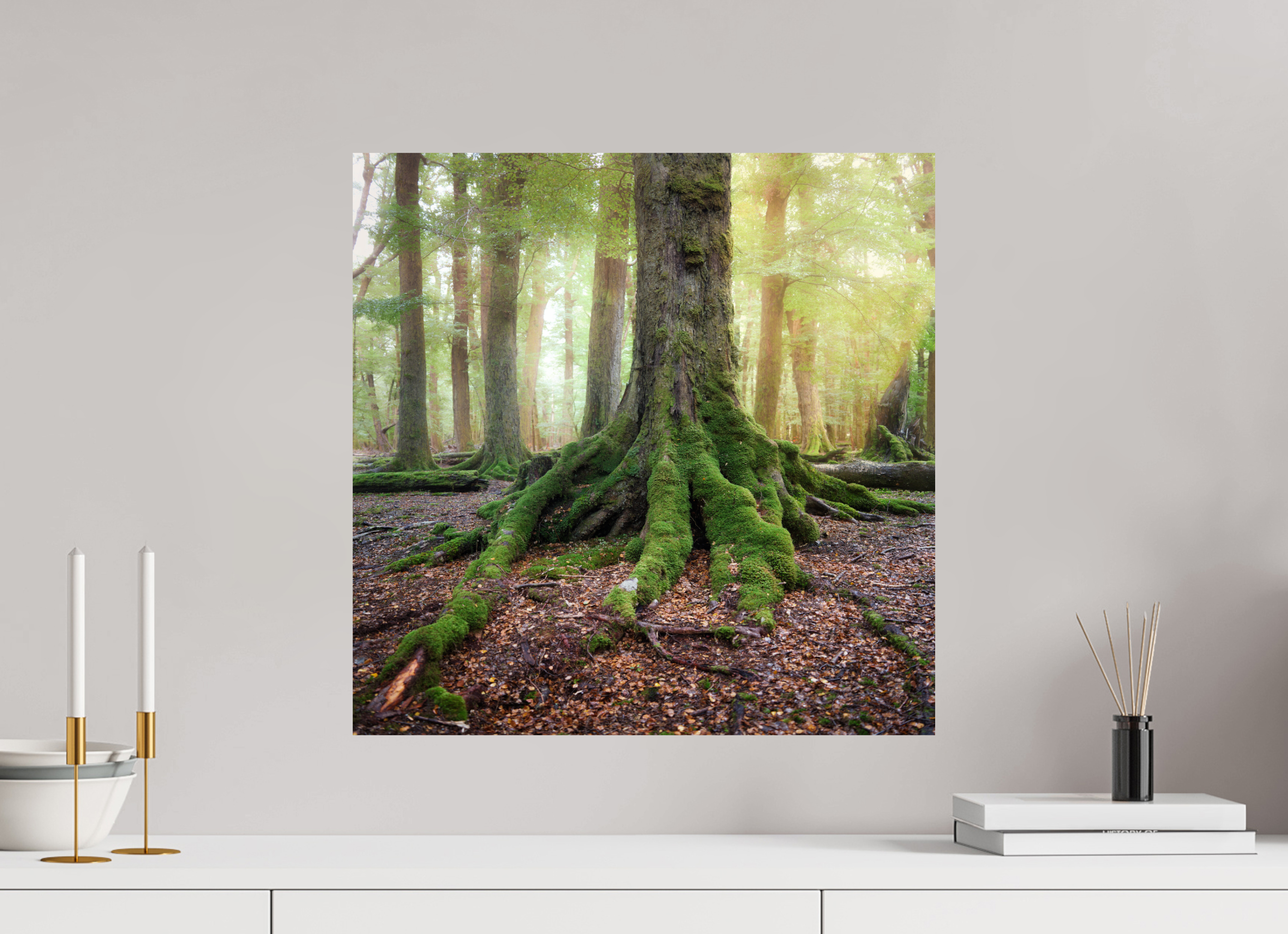 20 x 20″, Giclée Alu-Dibond The Hobbit's Foot