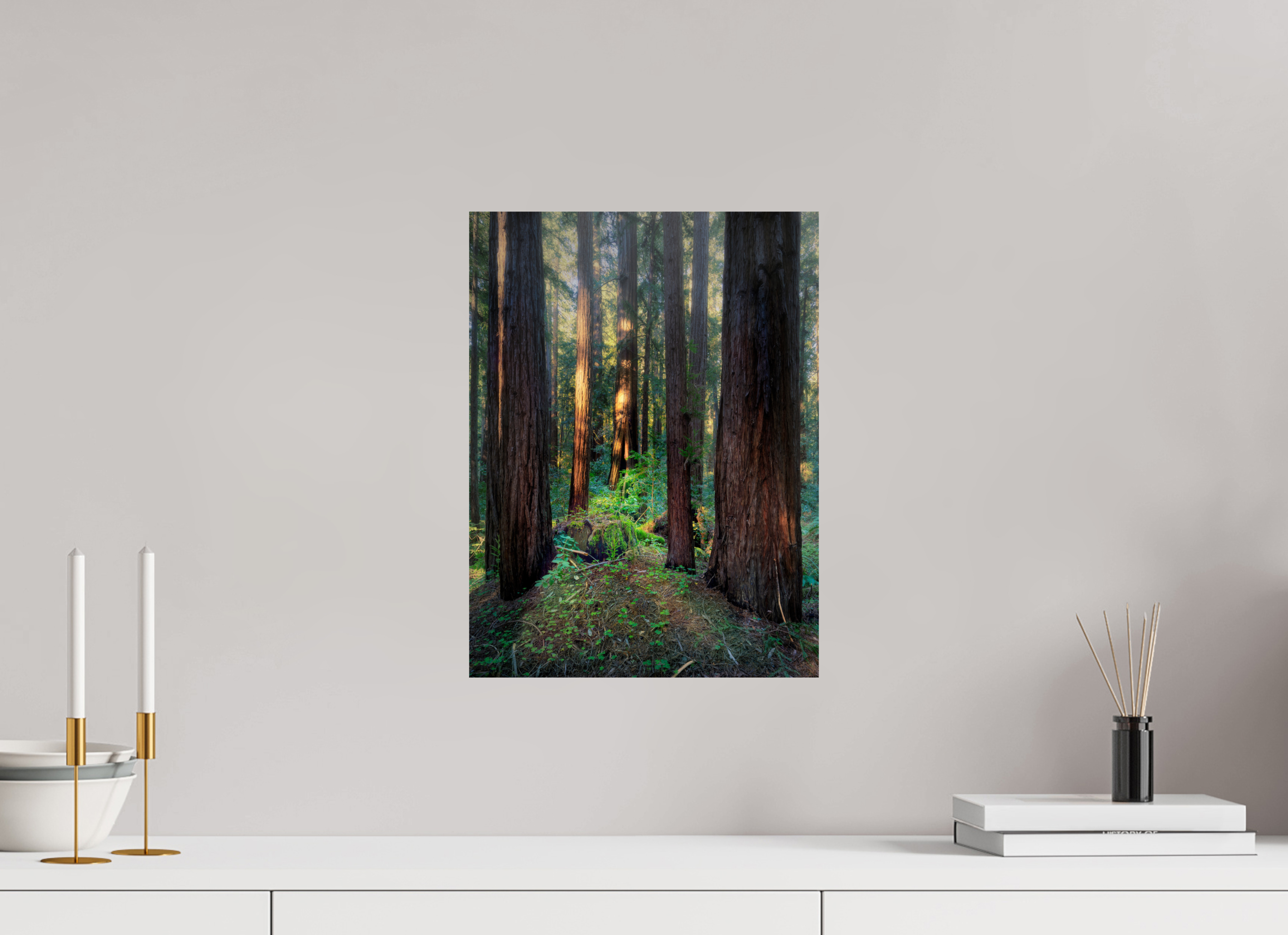 12 x 16″, Giclée Alu-Dibond Armstrong Woods III: The Ring Cycle