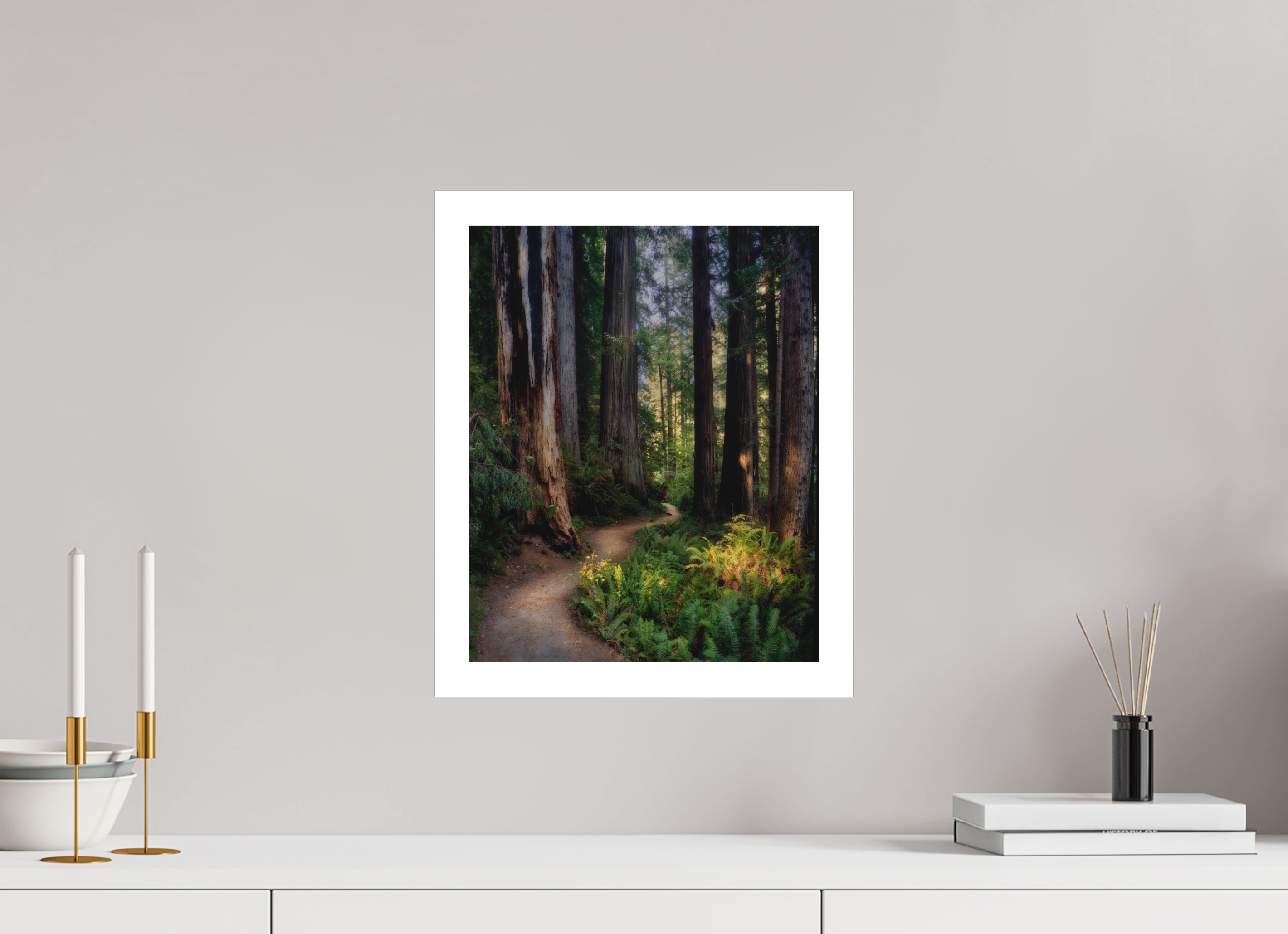 12 x 15″, Fine Art Bonded Acrylic Prairie Creek Redwoods Pathway