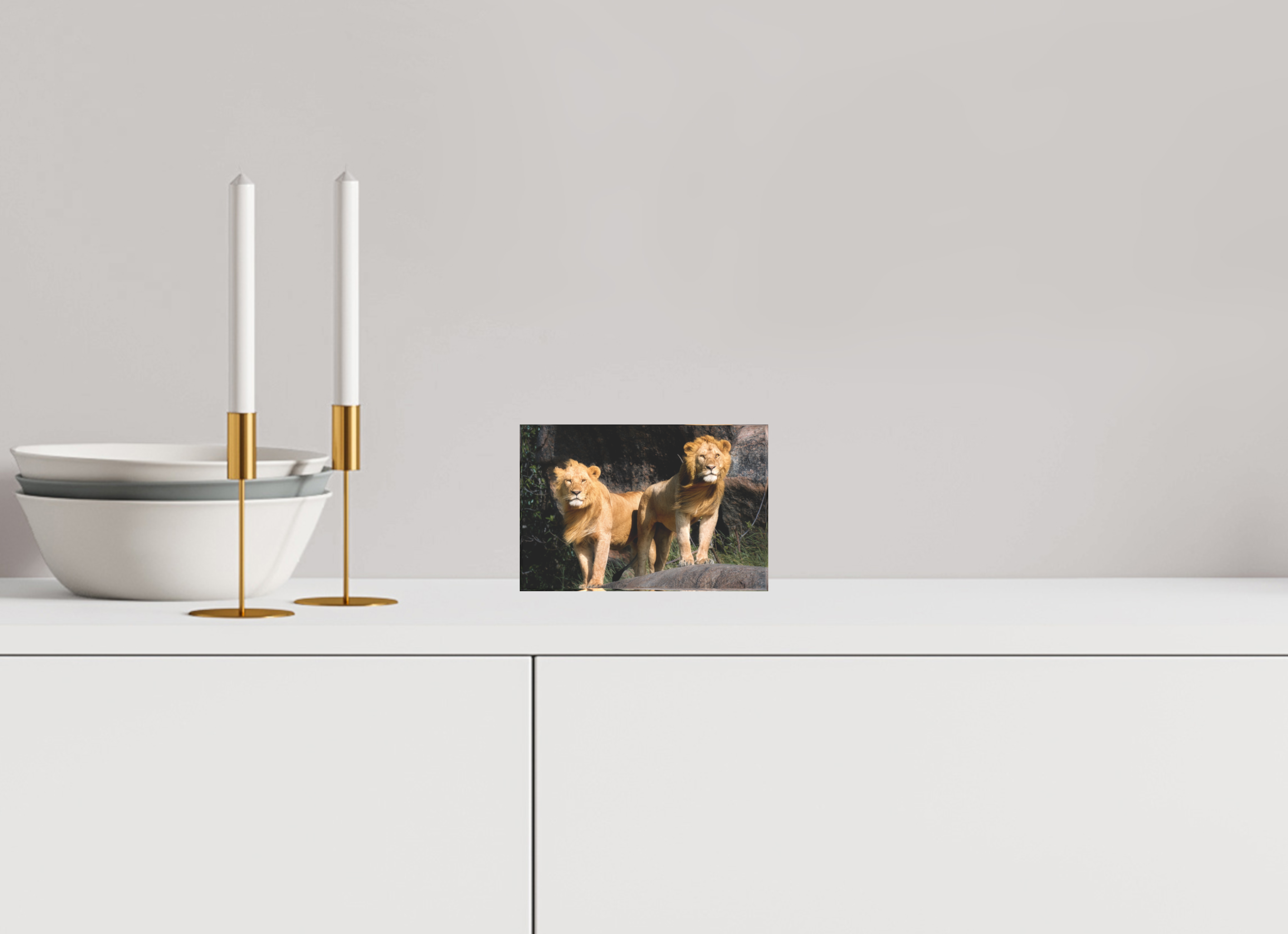 6 x 4″, Acrylic Block Gift Set Two Fabios