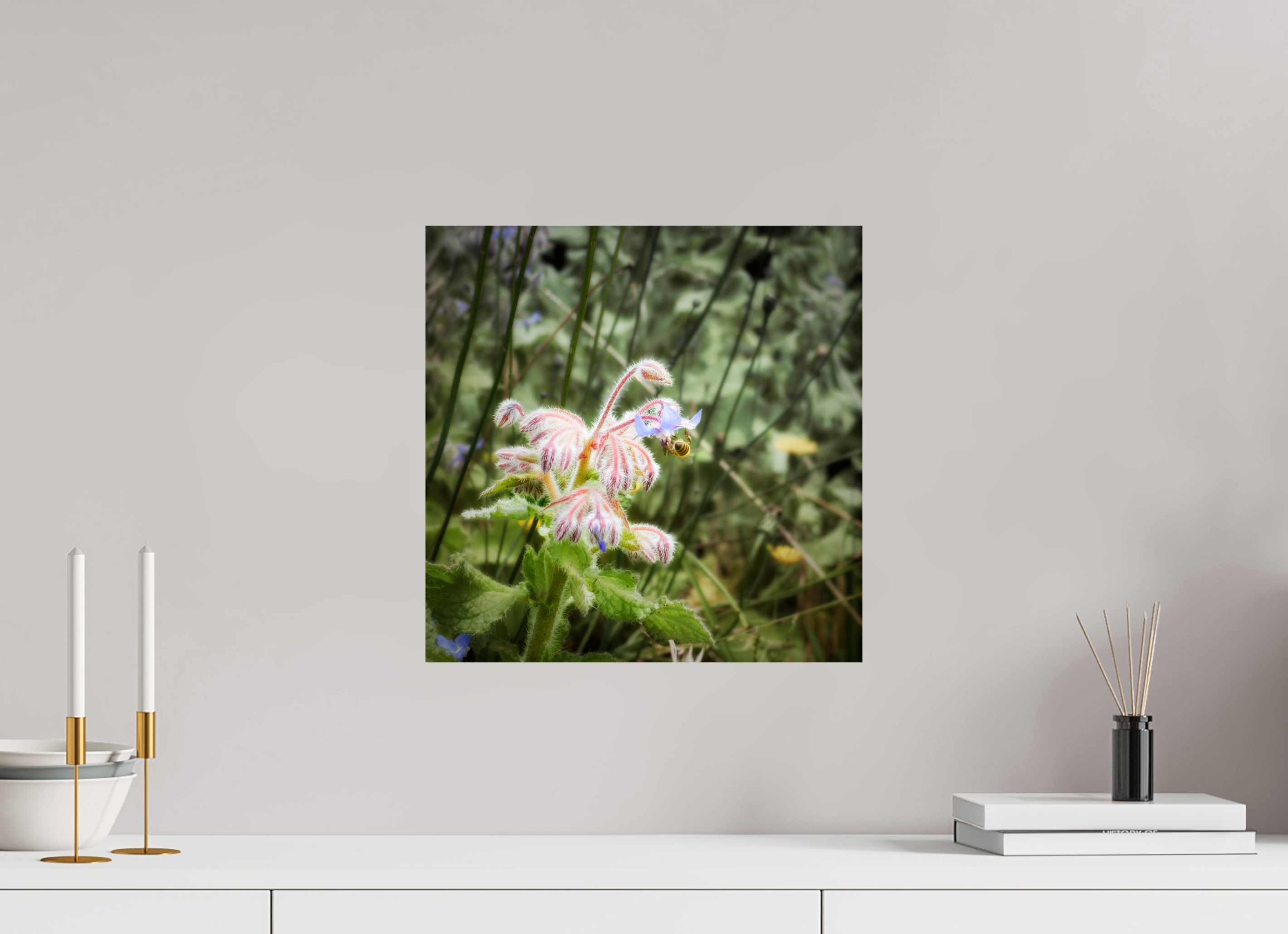 15 x 15″, Giclée Alu-Dibond Maui Honeybee Hard at Work
