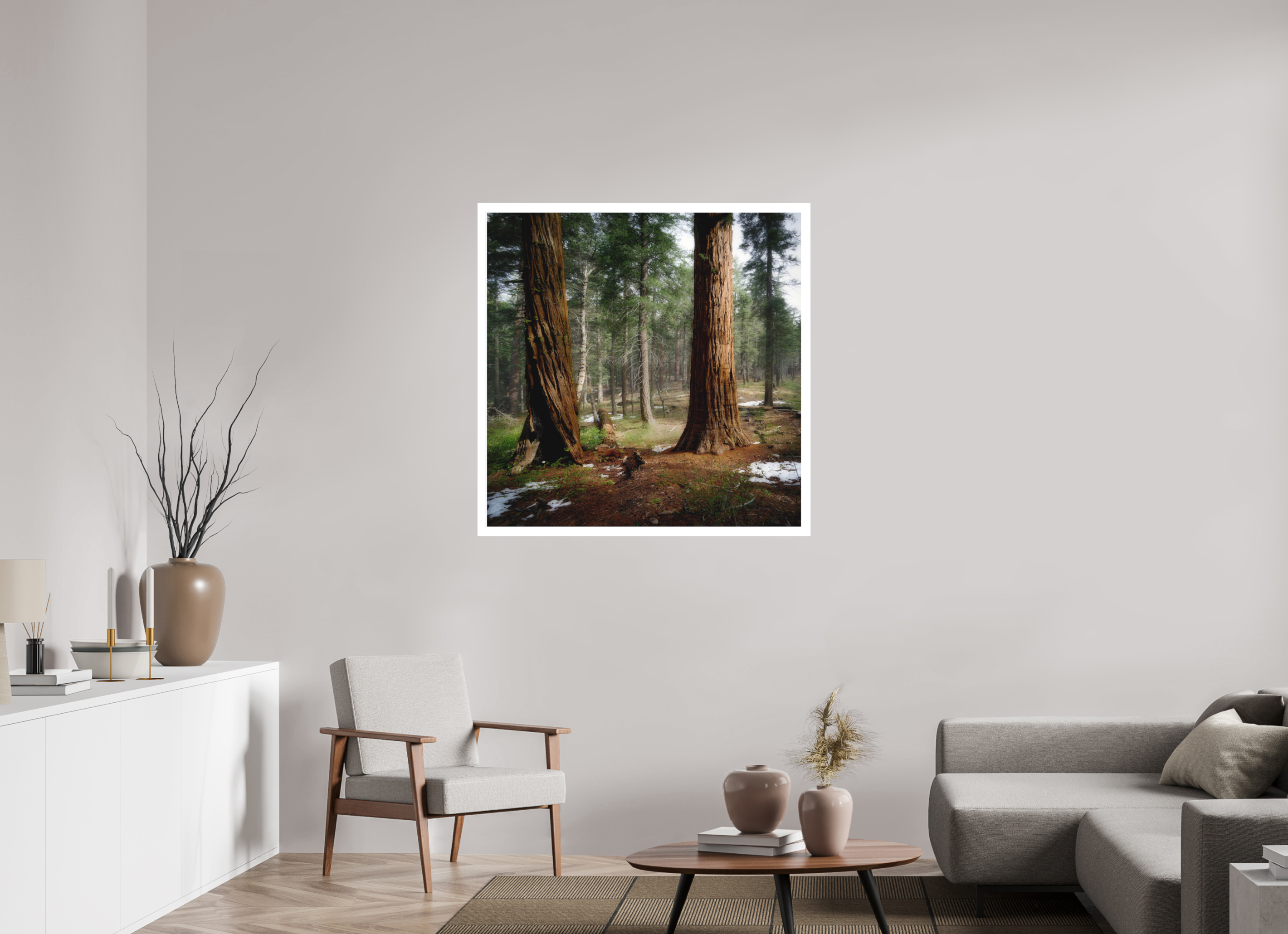40 x 40″, Bonded Acrylic Mat + Silver Frame Northern Sentinels II: The Placer County Sequoias