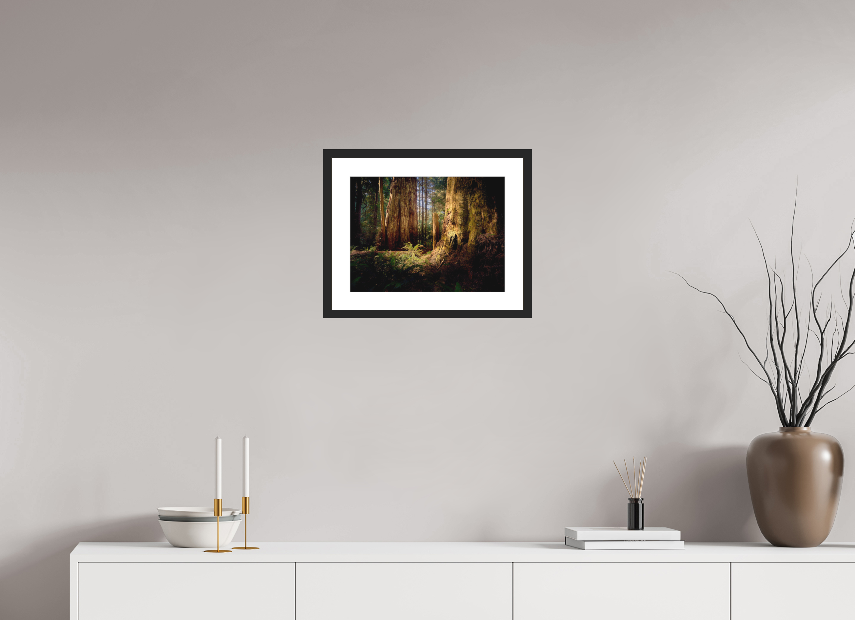 16 x 12″, Passe-Partout Black Frame Parvus: A Redwood Perspective